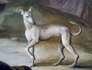 Chien (détail)