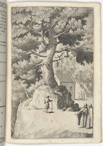 Hêtre avec la cloche (Faggio della campana) [plaque X] - Jacopo Ligozzi