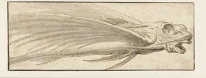 Poisson volant