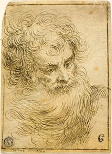 Tête de vieil homme barbu (recto); Croquis décoratif de fleur et feuilles (verso) - Jacopo Palma il Giovane