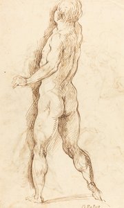 Homme nu vu de dos