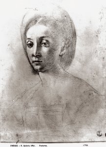Tête de femme - Jacopo Pontormo