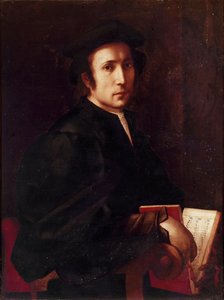 Portrait de musicien. Peinture de Jacopo Carrucci dit il Pontormo (1494-1556) 1518-1519 Florence, Galleria degli Uffizi - Jacopo Pontormo