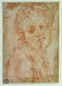 Autoportrait - Jacopo Pontormo