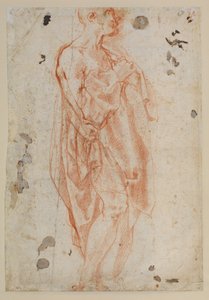 Étude pour Saint Jérôme - Jacopo Pontormo