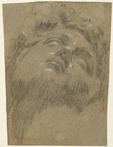 Tête de Giuliano dei Medici - Jacopo Tintoretto