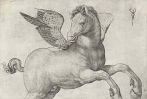 Pégase, 1509-16