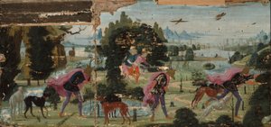 Actéon transformé en cerf - Jacopo del Sellaio