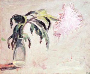 Un Chrysanthème dans une Bouteille