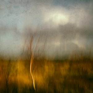  - Jacqueline van Bijnen