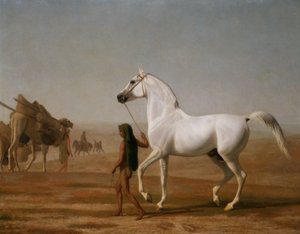 Le Wellesley Grey Arabian conduit à travers le désert - Jacques-Laurent Agasse