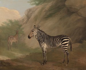 Zèbre - Jacques-Laurent Agasse