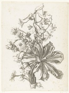 Bouquet avec une tulipe, une jacinthe, une brodiaea et des narcisses - Jacques Bailly (I)