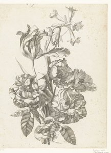 Bouquet avec pivoines, une tulipe et une brodiaea (Diverses Fleurs mises en Boucquets) - Jacques Bailly (I)
