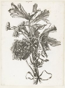 Bouquet avec tulipes fanées, une anémone et immortelles (Diverses Fleurs mises en Bouquets) - Jacques Bailly (I)