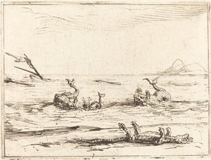 Dauphins et crocodile