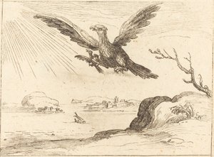 Aigle et jeunes