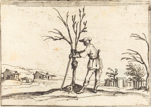 Jardinier taillant un arbre - Jacques Callot