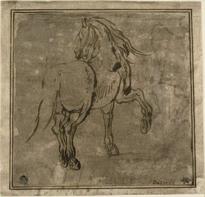 Cheval vu de trois quarts de dos