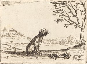 Lionne pleurant son petit - Jacques Callot
