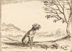 Lionne pleurant son petit - Jacques Callot