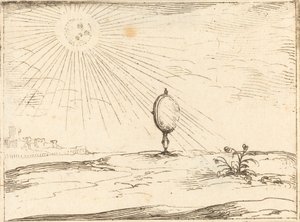 Rayons du soleil
