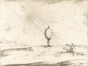 Rayons du soleil