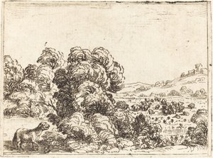 Mouton appelant un agneau - Jacques Callot
