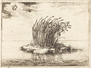 Les roseaux et le vent