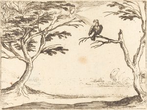 Le Vautour - Jacques Callot