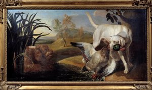 Braque tenant un colvert dans sa gueule. Peinture de Jacques Charles Oudry (1720-1778) XVIIIe siècle Paris, Arts Décoratifs - Jacques Charles Oudry