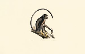  - Jacques Christophe Werner