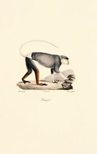  - Jacques Christophe Werner