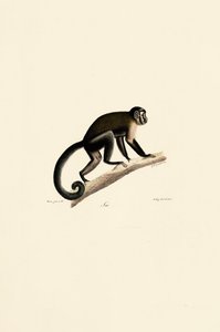  - Jacques Christophe Werner