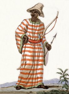 Gentleman de la Côte des Graines, Côte d