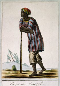 Nègre du Sénégal, gravure en couleur tirée de l
