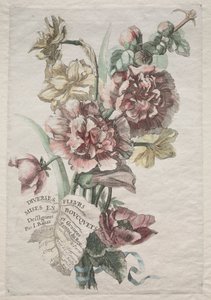 Diverses fleurs mises en bouquets : No. 1 - Roses trémières et narcisses, vers 1670