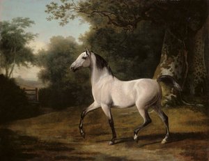 Un étalon arabe gris dans un paysage boisé - Jacques Laurent Agasse