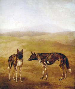 Deux chiens de chasse africains - Jacques Laurent Agasse
