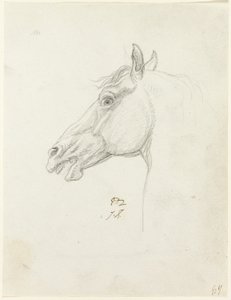 Tête de cheval - Jacques Louis David