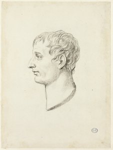 Profil de Napoléon - Jacques Louis David