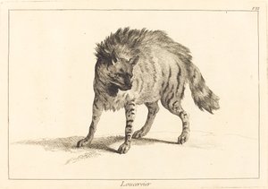 Loucervier (Hyène) - Jacques Philippe Le Bas and Jean Eric Rehn after Jean Baptiste Oudry