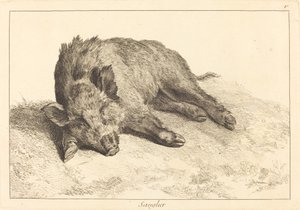 Sanglier couché, tête à gauche - Jacques Philippe Le Bas and Jean Eric Rehn after Jean Baptiste Oudry