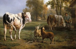 Taureau blanc et autres animaux