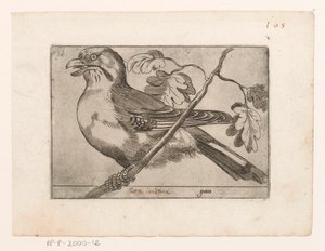 Geai - Jacques de Fornazeris (possibly)