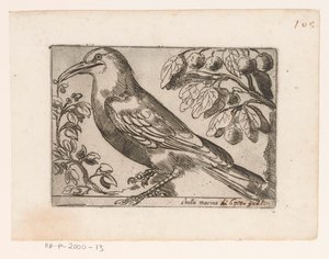 Oiseau - Jacques de Fornazeris (possibly)