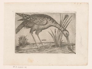 Oiseau - Jacques de Fornazeris (possibly)