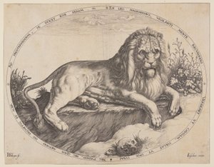 Den Grooten Leeuw (Le grand lion). - Jacques de Gheyn II