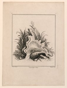 Écusson, de "Recueil Nouveau de Differens Cartouche"