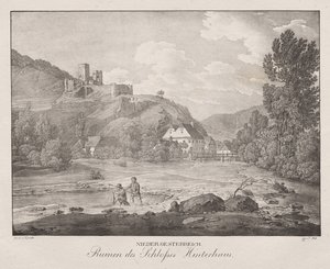 Basse-Autriche, Ruines du château Hinterhaus